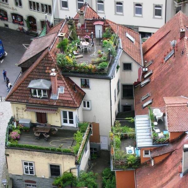 Bildschirmarbeiter - Picdump 11.05.2018