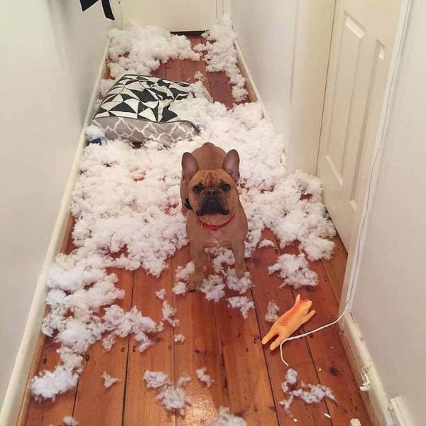 Bildschirmarbeiter - Picdump 11.05.2018