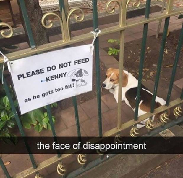 Bildschirmarbeiter - Picdump 11.05.2018