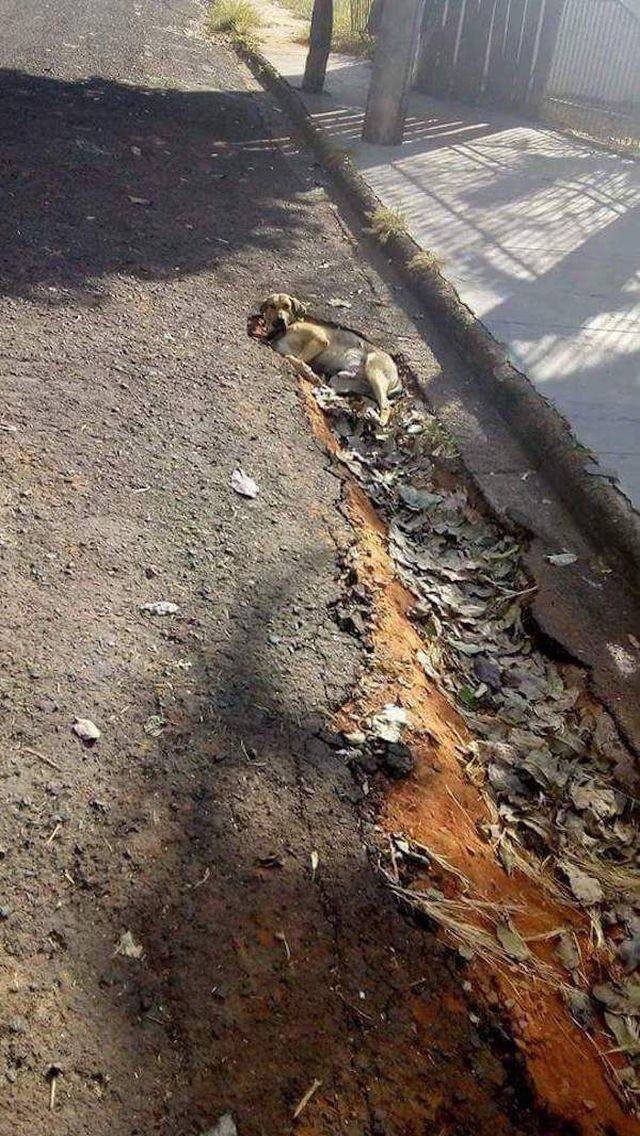 Bildschirmarbeiter - Picdump 11.05.2018