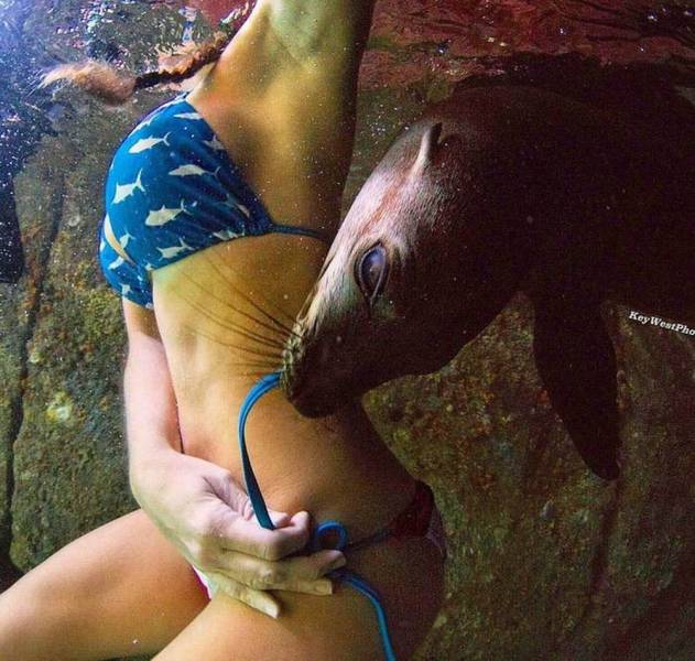 Bildschirmarbeiter - Picdump 11.05.2018