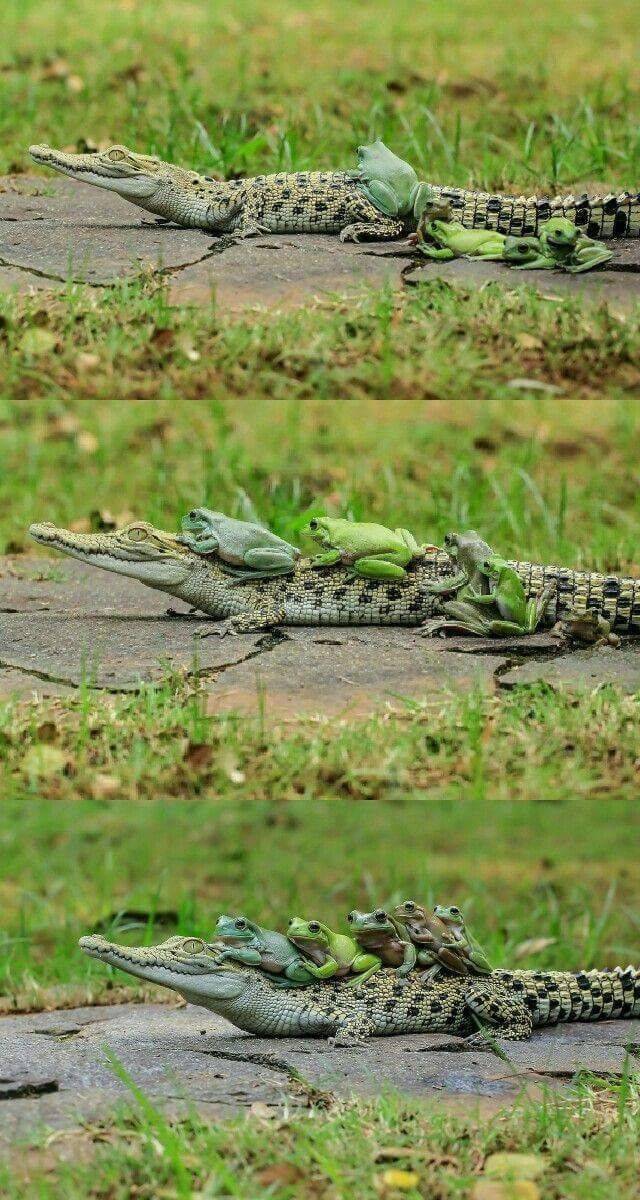 Bildschirmarbeiter - Picdump 11.05.2018