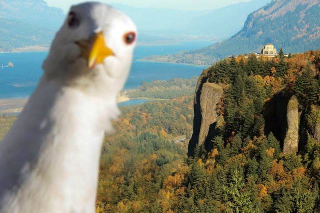 Bildschirmarbeiter - Picdump 11.05.2018