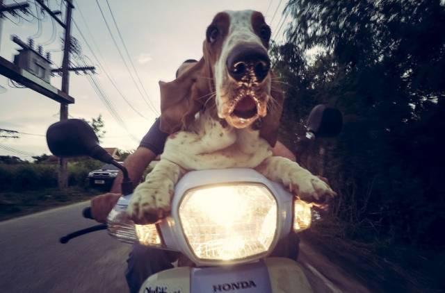 Bildschirmarbeiter - Picdump 11.05.2018