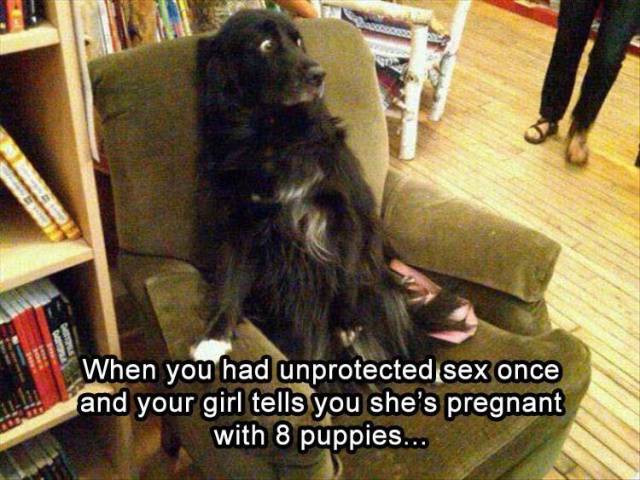 Bildschirmarbeiter - Picdump 11.05.2018