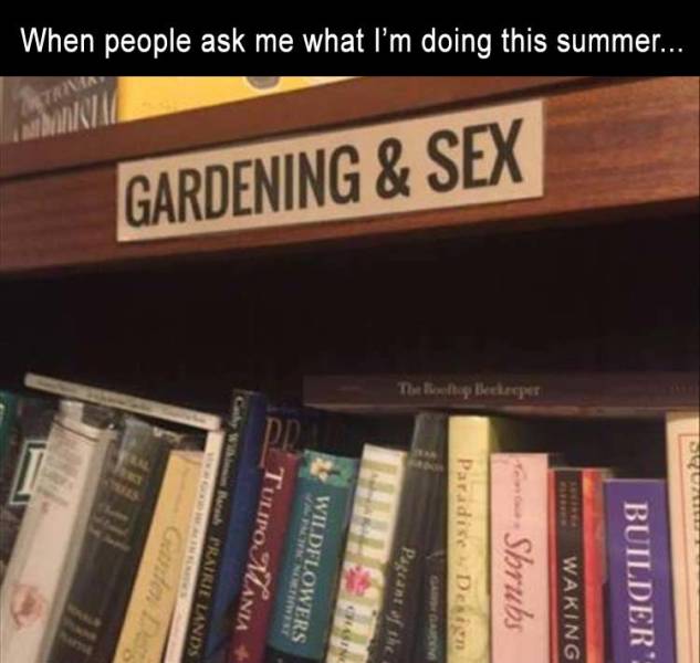 Bildschirmarbeiter - Picdump 11.05.2018