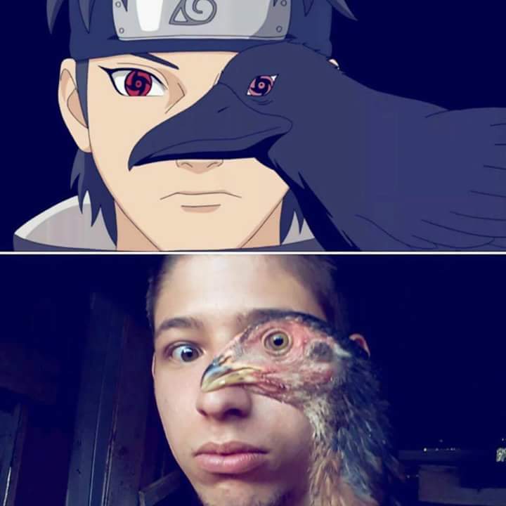 Bildschirmarbeiter - Picdump 11.05.2018