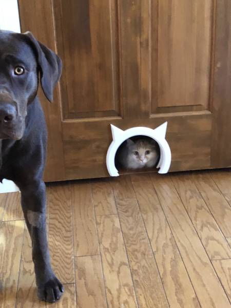 Bildschirmarbeiter - Picdump 11.05.2018