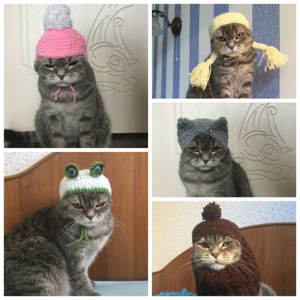 Bildschirmarbeiter - Picdump 11.05.2018