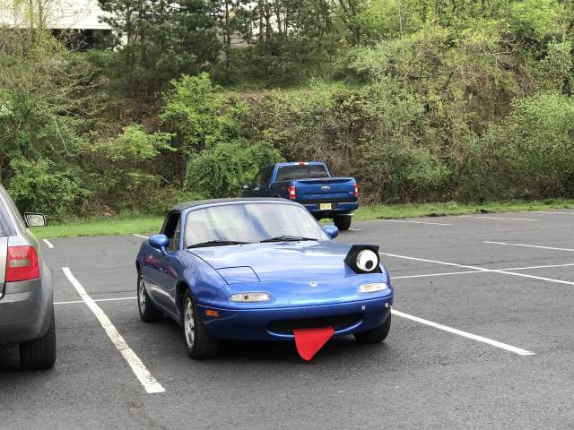 Bildschirmarbeiter - Picdump 11.05.2018