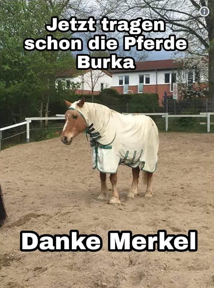 Bildschirmarbeiter - Picdump 11.05.2018
