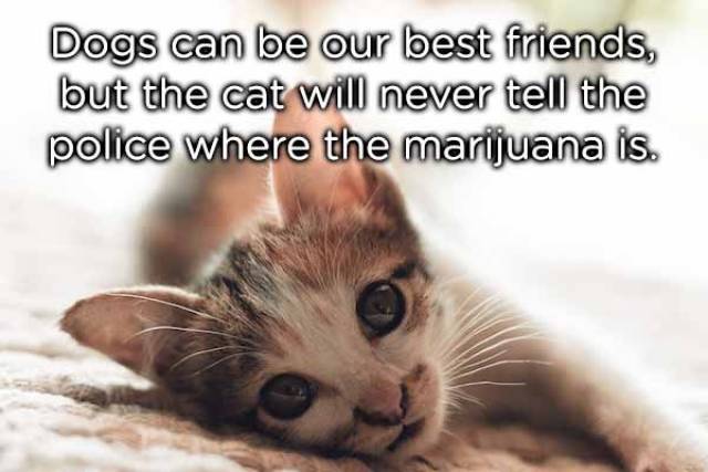 Bildschirmarbeiter - Picdump 11.05.2018