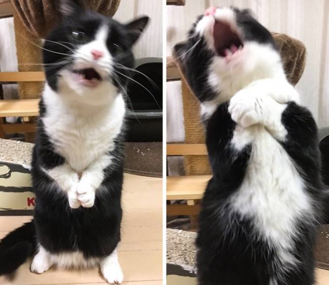 Bildschirmarbeiter - Picdump 11.05.2018