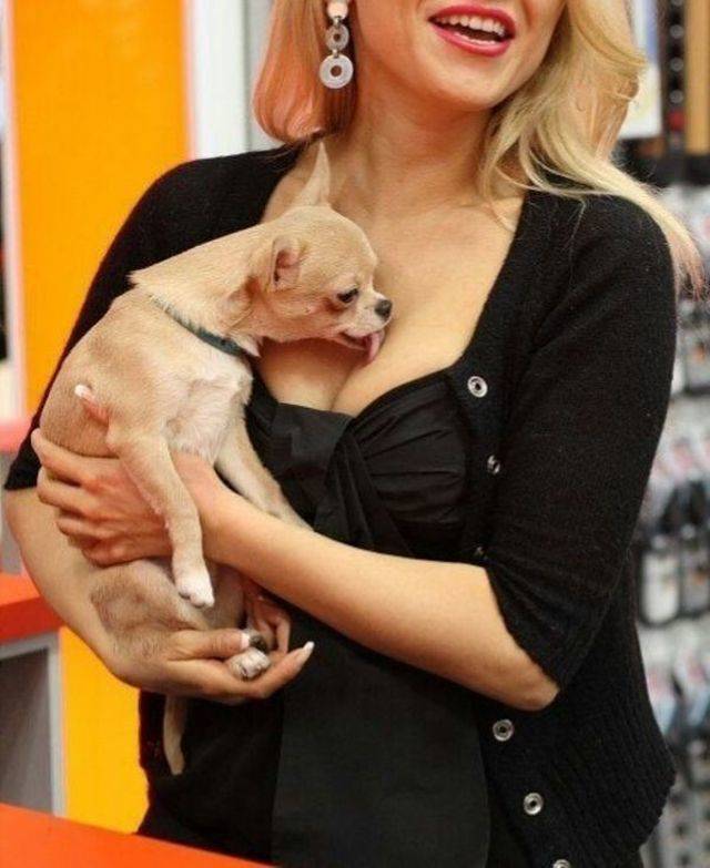 Bildschirmarbeiter - Picdump 11.05.2018