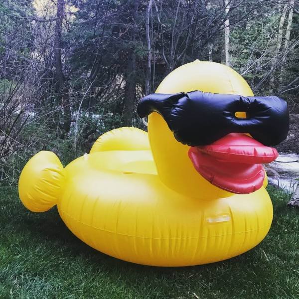 Bildschirmarbeiter - Picdump 25.05.2018