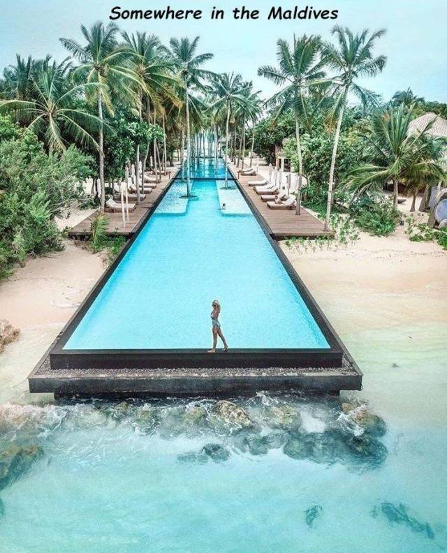 Bildschirmarbeiter - Picdump 25.05.2018