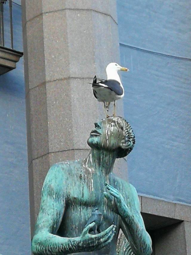 Bildschirmarbeiter - Picdump 25.05.2018