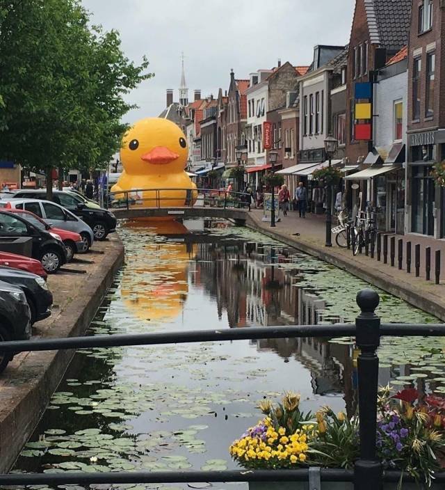 Bildschirmarbeiter - Picdump 25.05.2018