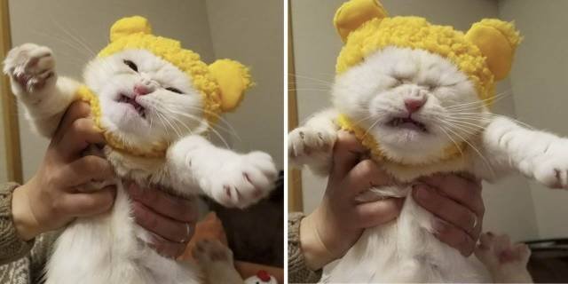 Bildschirmarbeiter - Picdump 25.05.2018