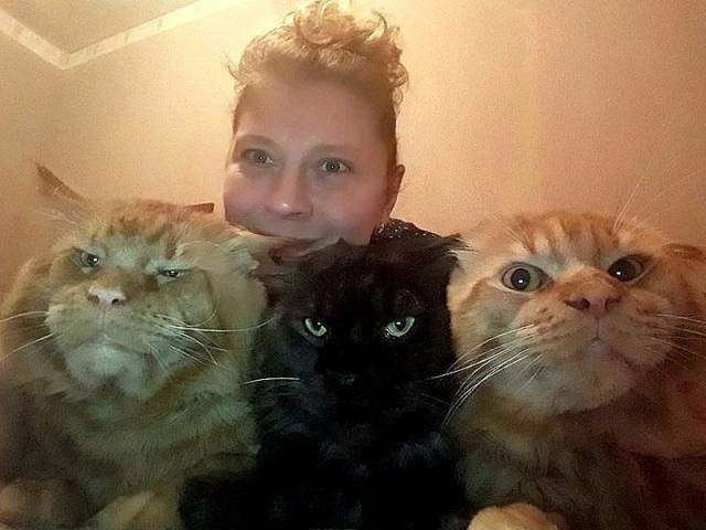 Bildschirmarbeiter - Picdump 25.05.2018