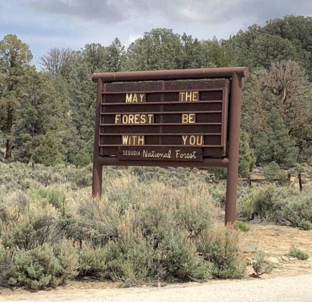 Bildschirmarbeiter - Picdump 25.05.2018