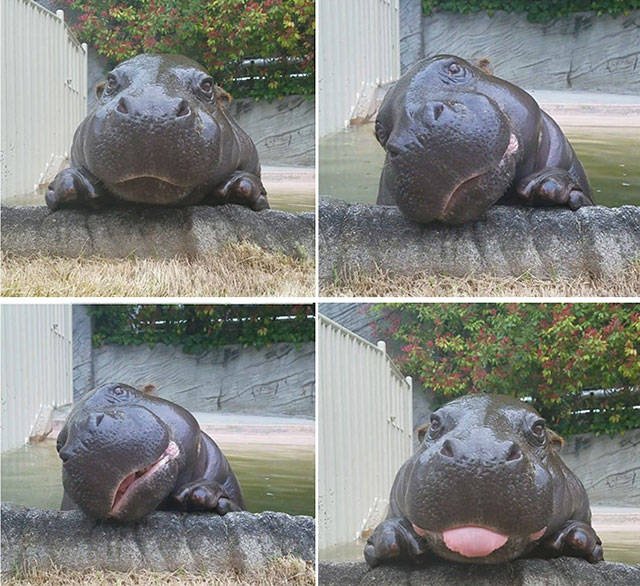 Bildschirmarbeiter - Picdump 25.05.2018