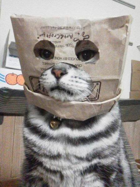 Bildschirmarbeiter - Picdump 25.05.2018