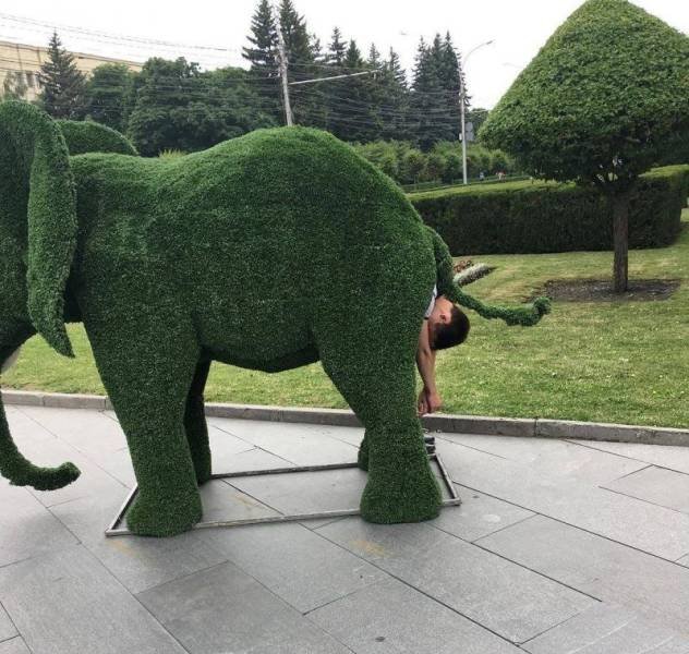 Bildschirmarbeiter - Picdump 01.06.2018