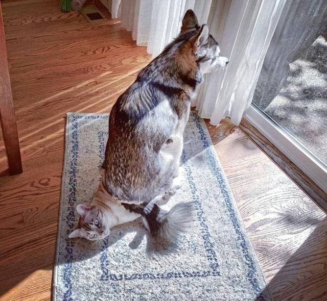 Bildschirmarbeiter - Picdump 01.06.2018