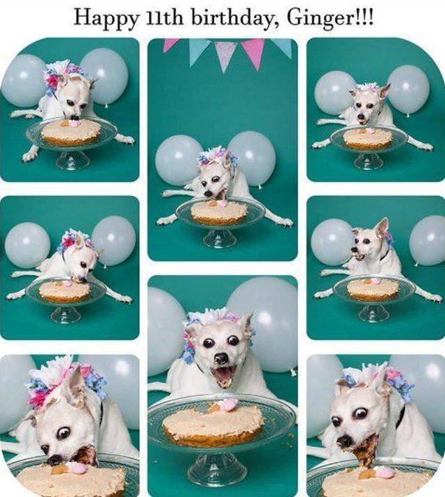 Bildschirmarbeiter - Picdump 01.06.2018