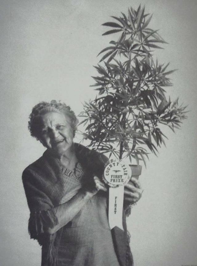 Bildschirmarbeiter - Picdump 01.06.2018