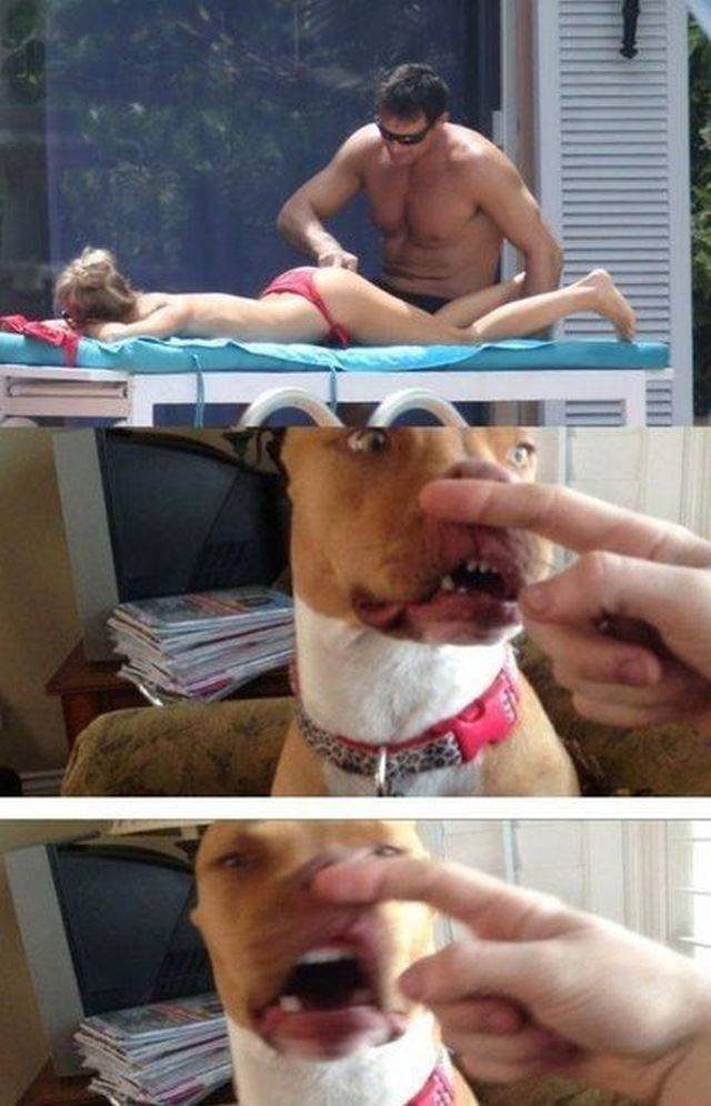 Bildschirmarbeiter - Picdump 01.06.2018