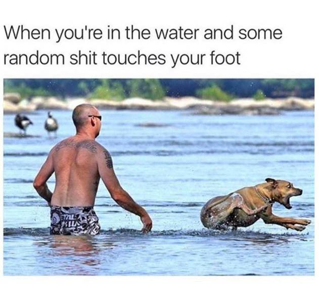 Bildschirmarbeiter - Picdump 01.06.2018