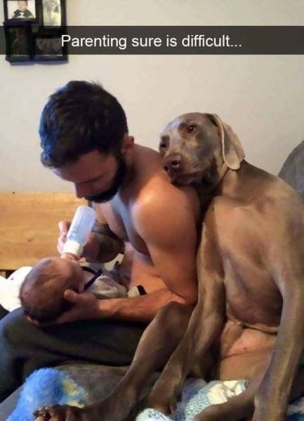 Bildschirmarbeiter - Picdump 01.06.2018