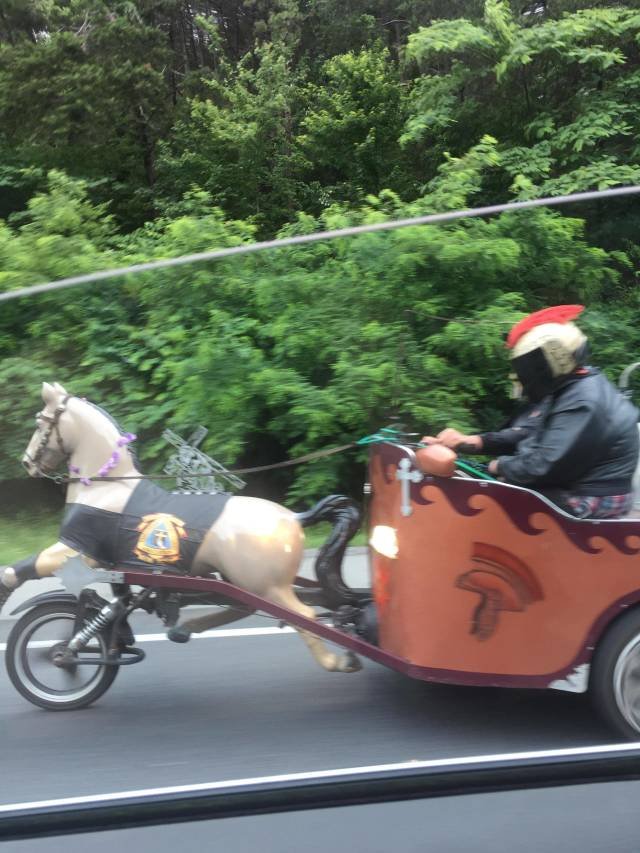 Bildschirmarbeiter - Picdump 01.06.2018