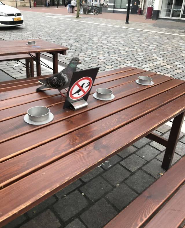 Bildschirmarbeiter - Picdump 08.06.2018