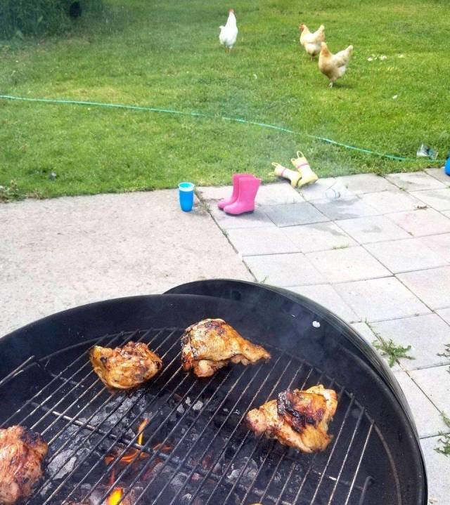 Bildschirmarbeiter - Picdump 08.06.2018