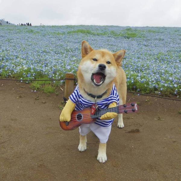 Bildschirmarbeiter - Picdump 08.06.2018