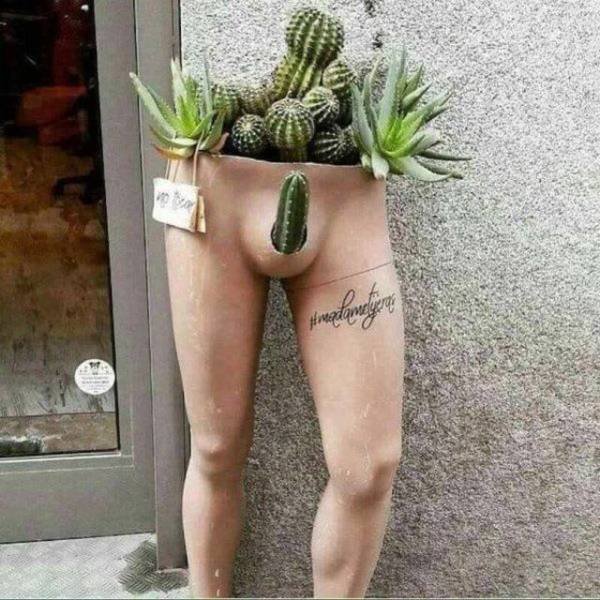 Bildschirmarbeiter - Picdump 08.06.2018