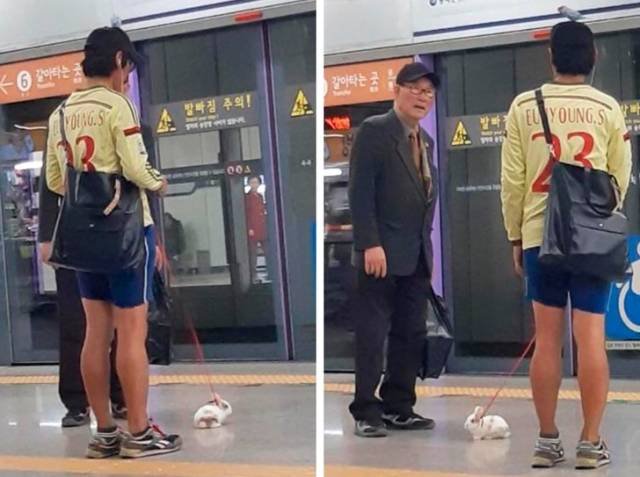 Bildschirmarbeiter - Picdump 08.06.2018