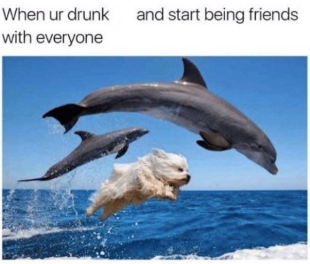 Bildschirmarbeiter - Picdump 15.06.2018