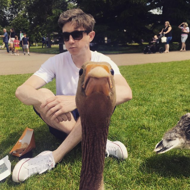 Bildschirmarbeiter - Picdump 15.06.2018