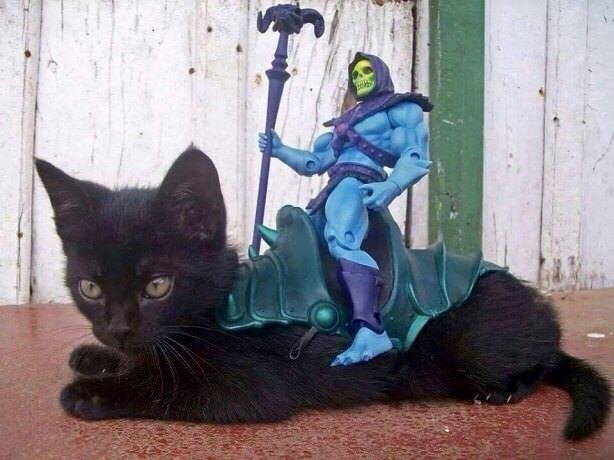 Bildschirmarbeiter - Picdump 15.06.2018