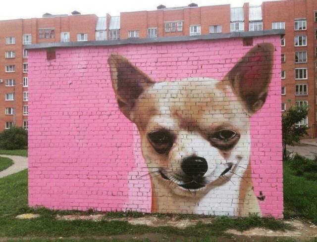 Bildschirmarbeiter - Picdump 22.06.2018