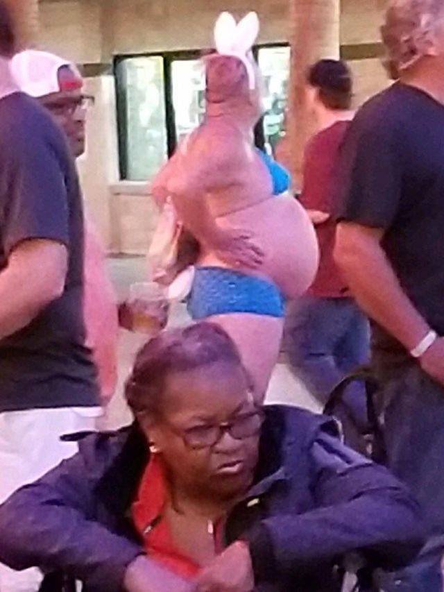 Bildschirmarbeiter - Picdump 22.06.2018