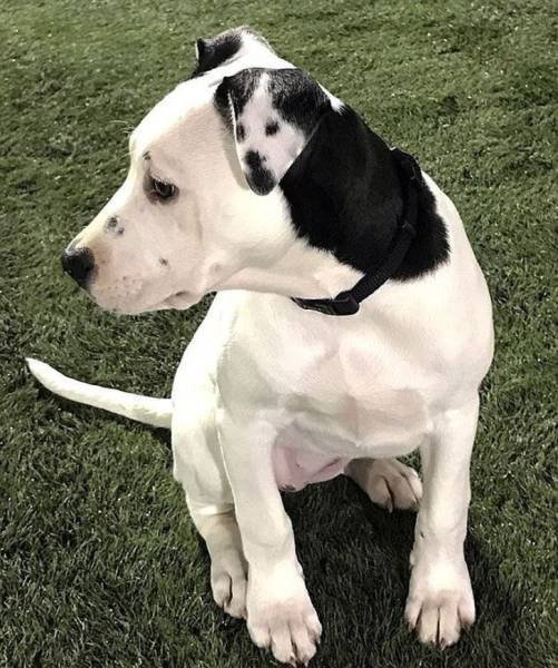 Bildschirmarbeiter - Picdump 22.06.2018