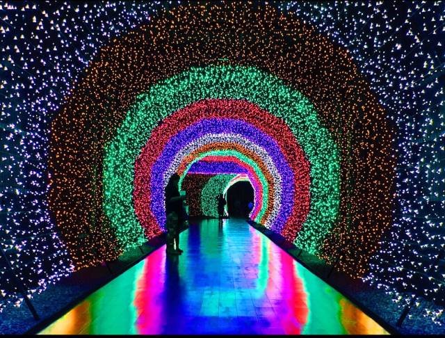 Bildschirmarbeiter - Picdump 22.06.2018