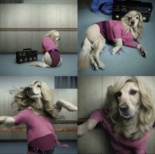 Bildschirmarbeiter - Picdump 22.06.2018