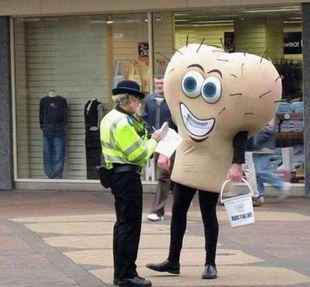 Bildschirmarbeiter - Picdump 29.06.2018