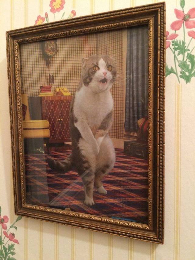 Bildschirmarbeiter - Picdump 29.06.2018